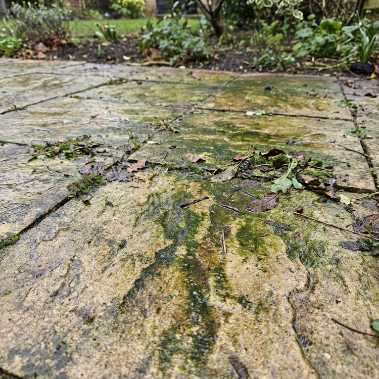 tegen Groene aanslag